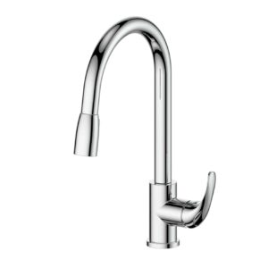 Regency Pull-Down Sink Mixer