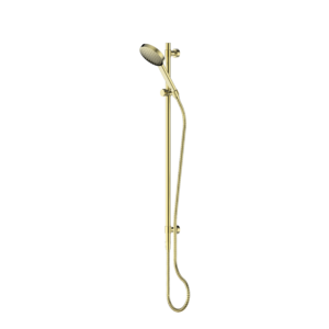 Lavish Brass Rail Shower