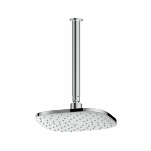 Corban Ceiling Shower